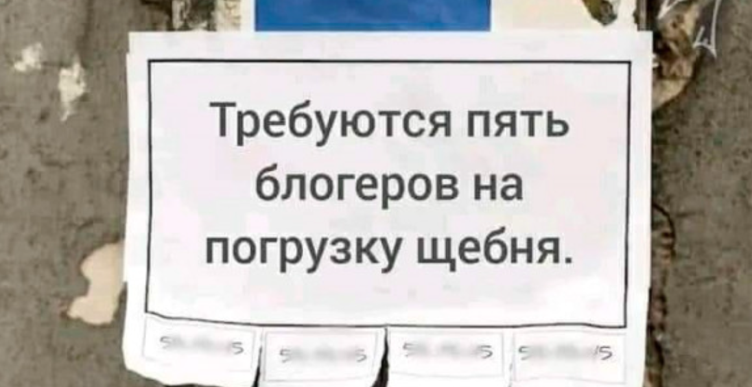 как студенту вести