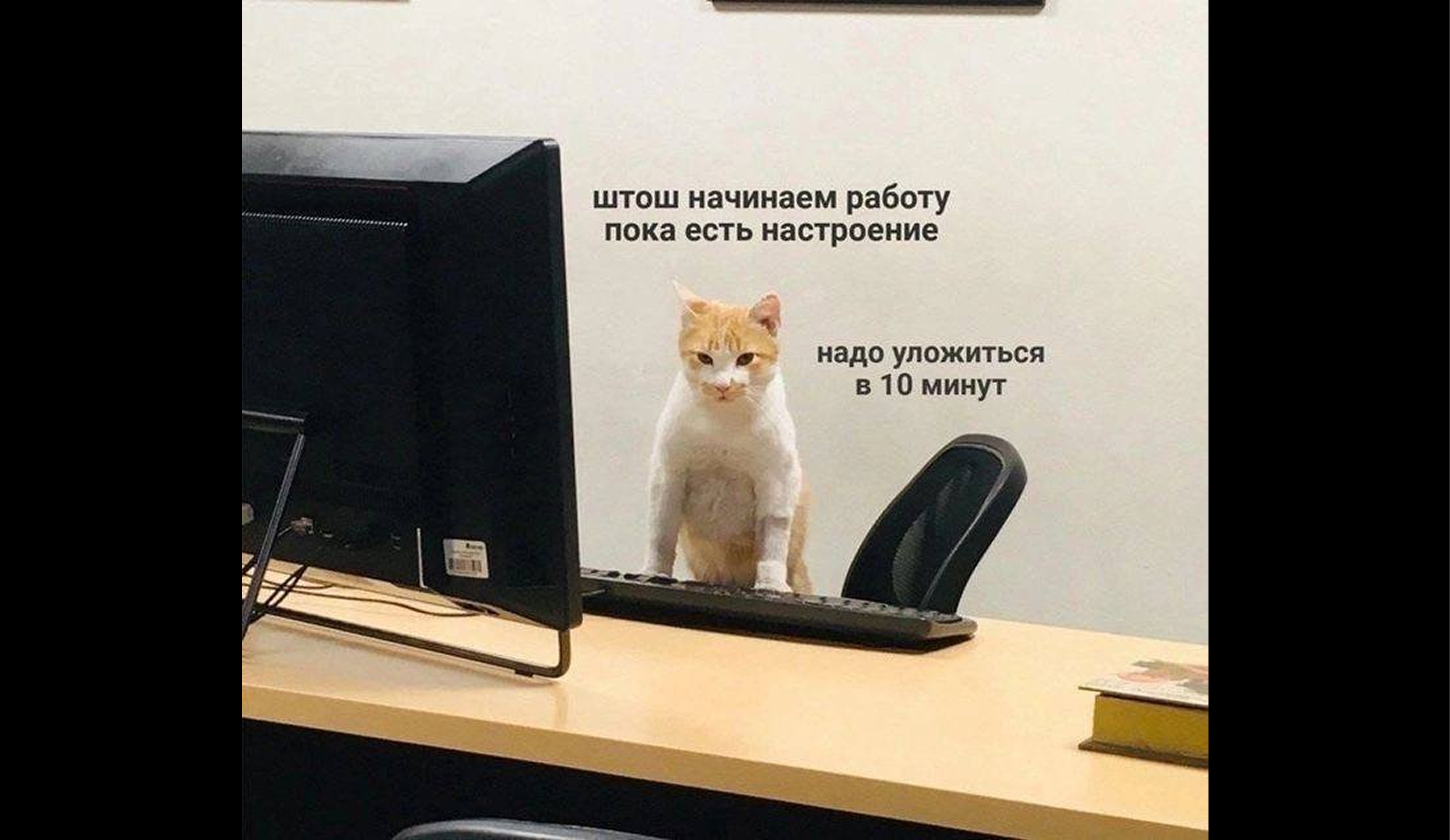 Какие справки нужны для работы по совместительству
