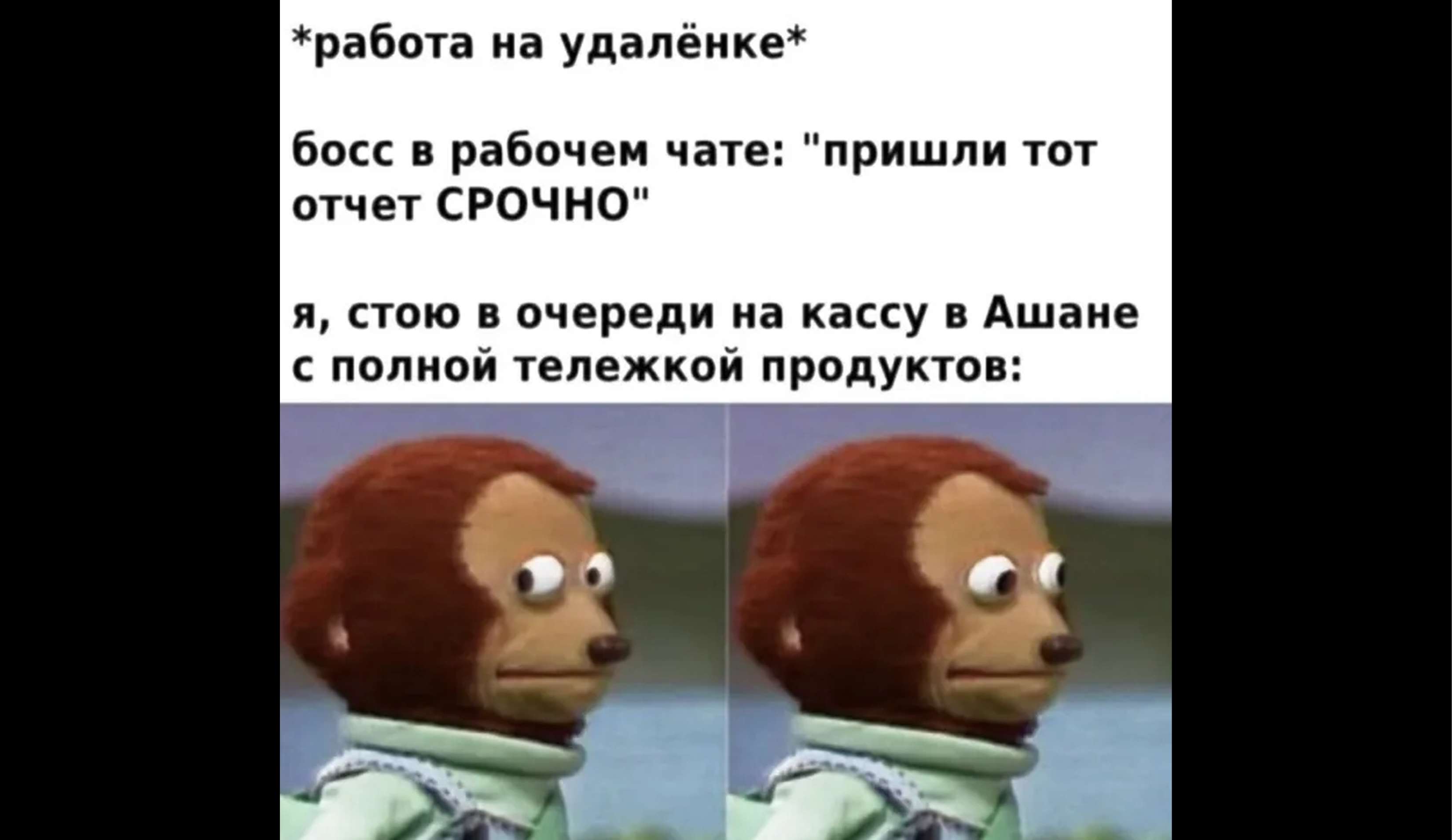 Удаленка без вложений: как студенту зарабатывать онлайн