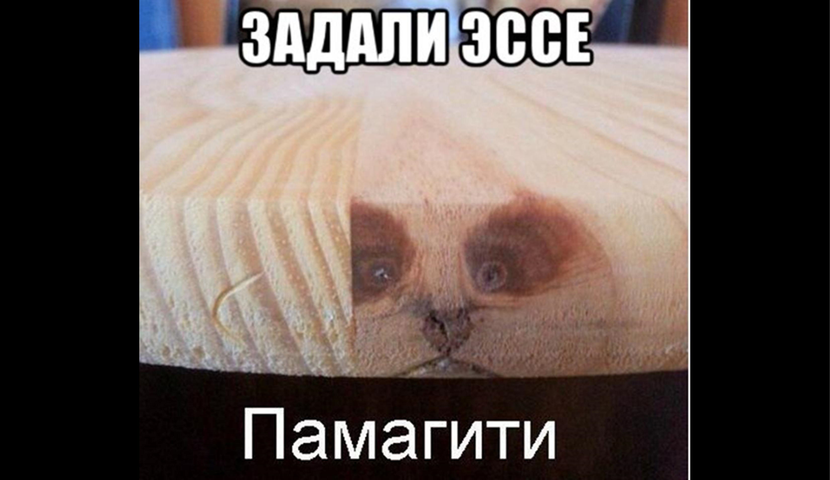 Как выбрать тему для эссе по обществознанию быстро