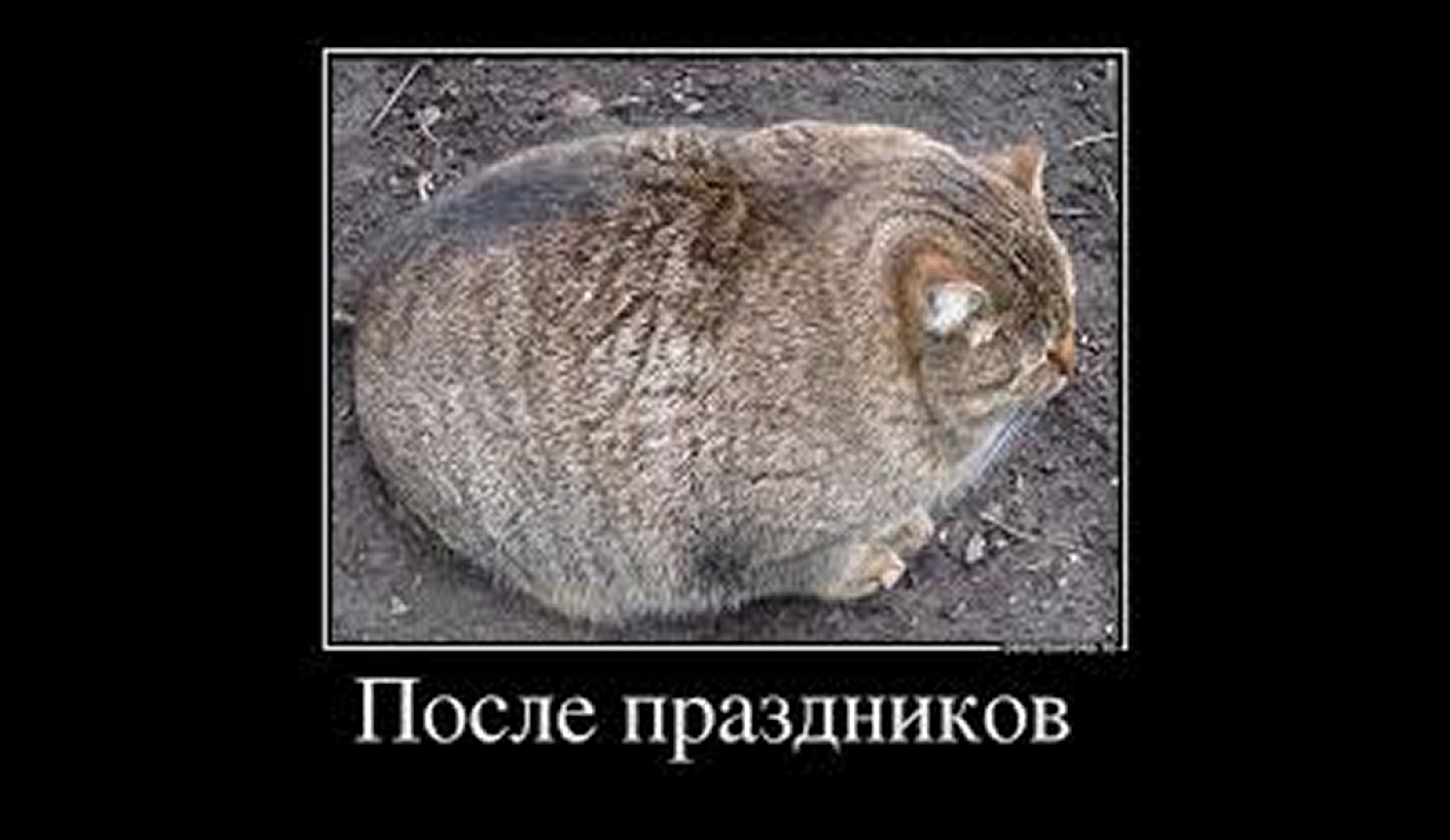 Как вернуться в учебный режим после майских каникул