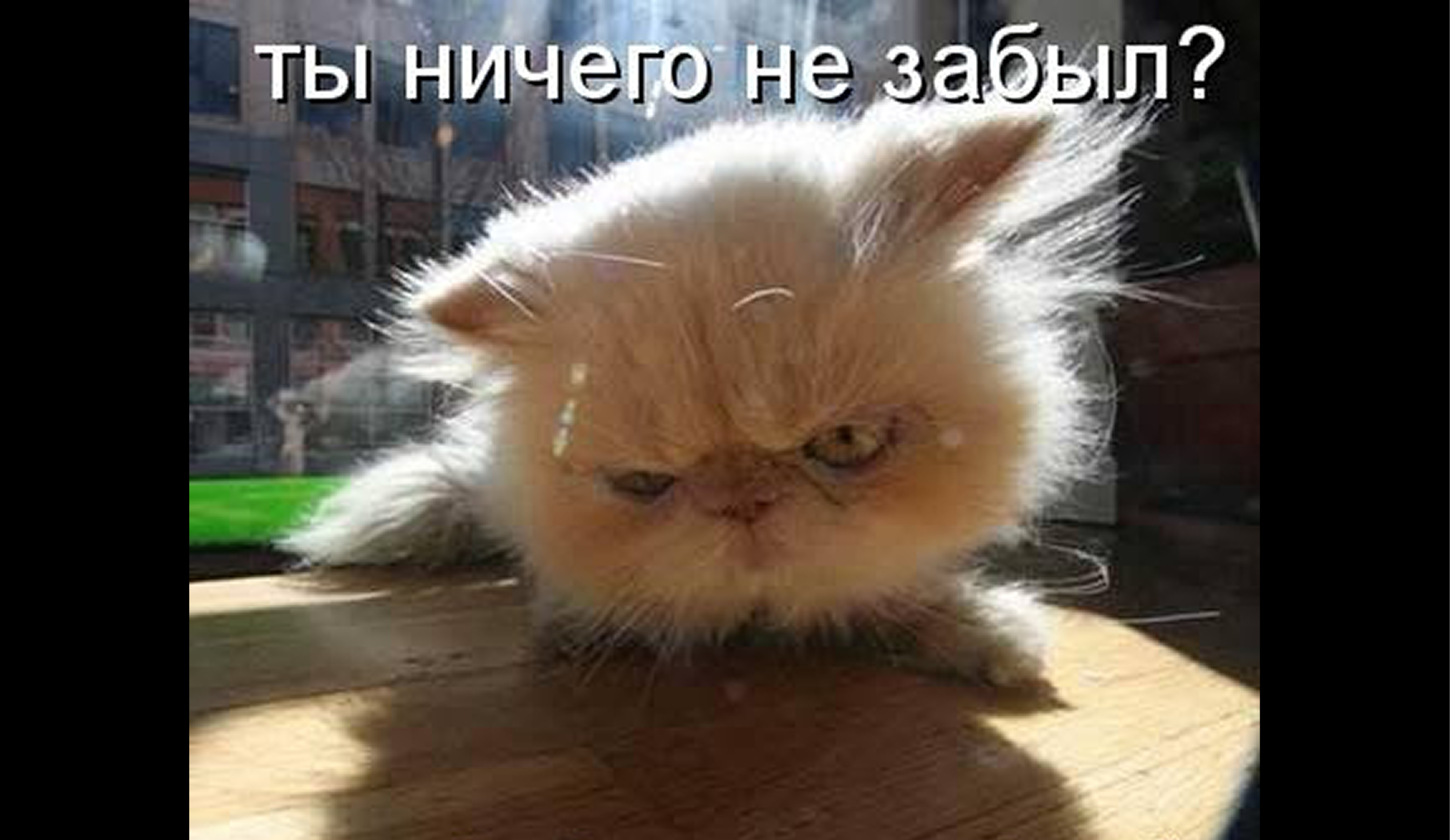 Что взять с собой на ЕГЭ, чтобы ничего не забыть