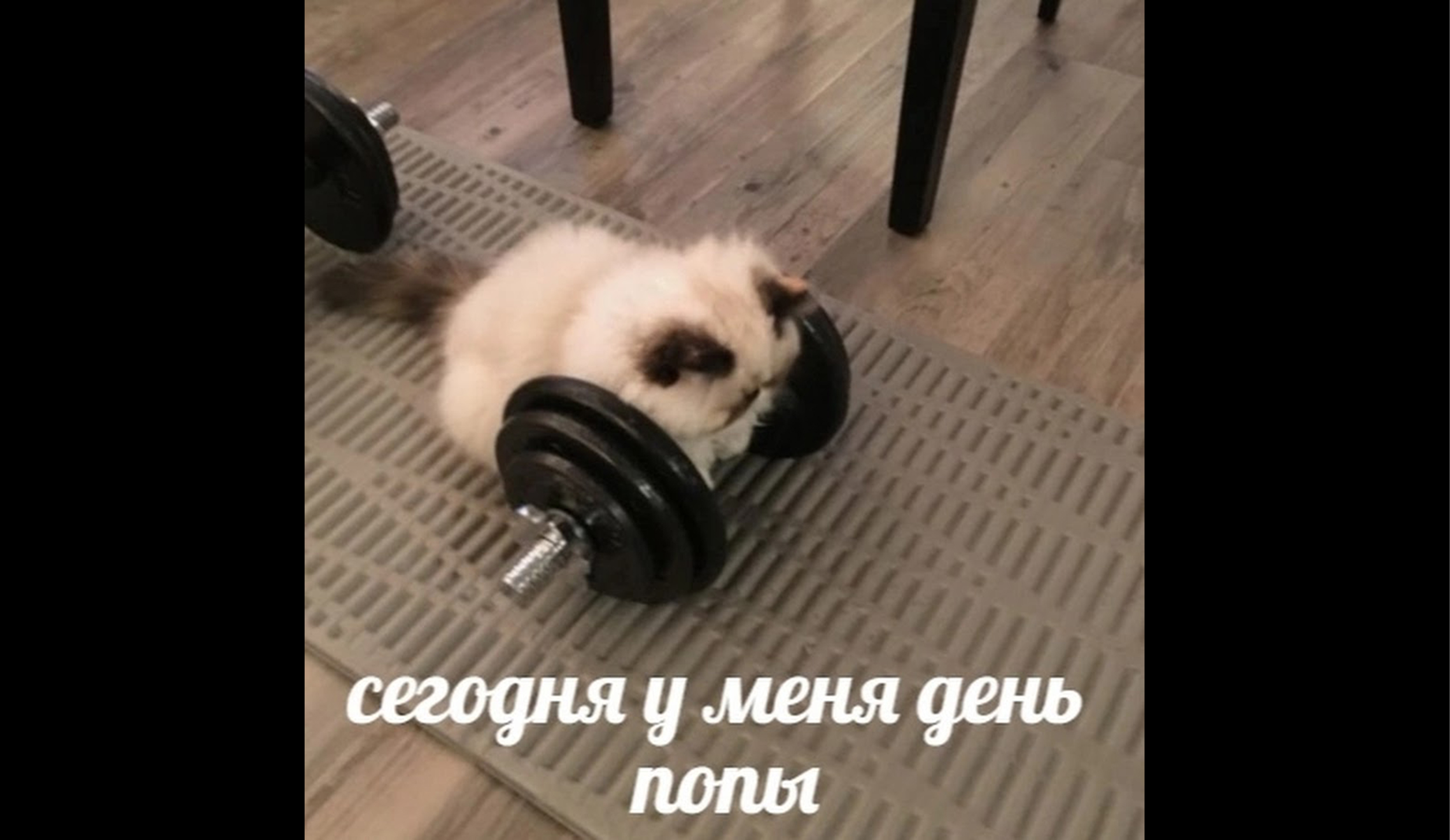 Как студенту выбрать спортивную секцию по душе