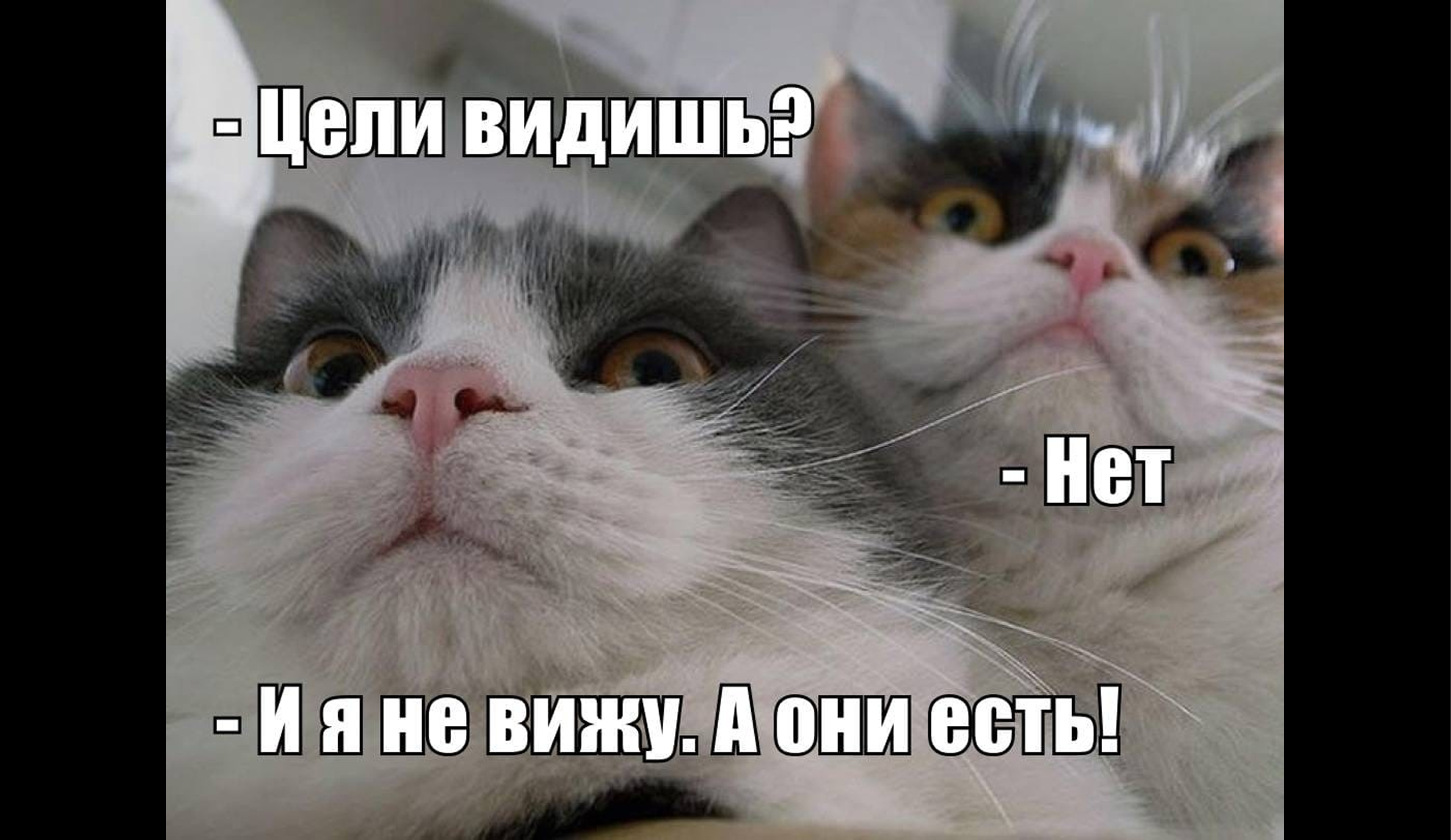 Цели и задачи ВКР: как сформулировать