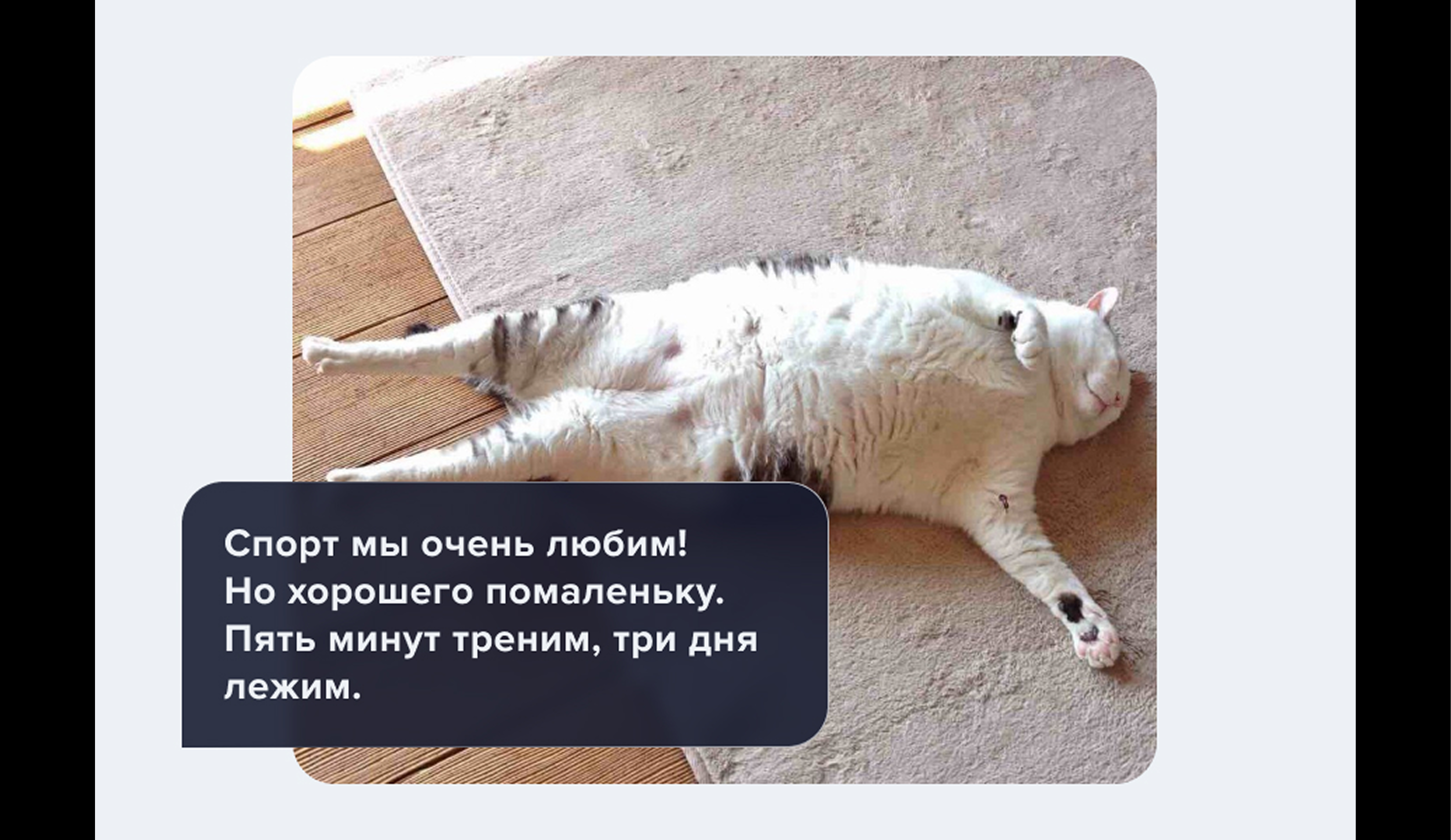 Спортзал или зарядка: как студенту начать тренироваться