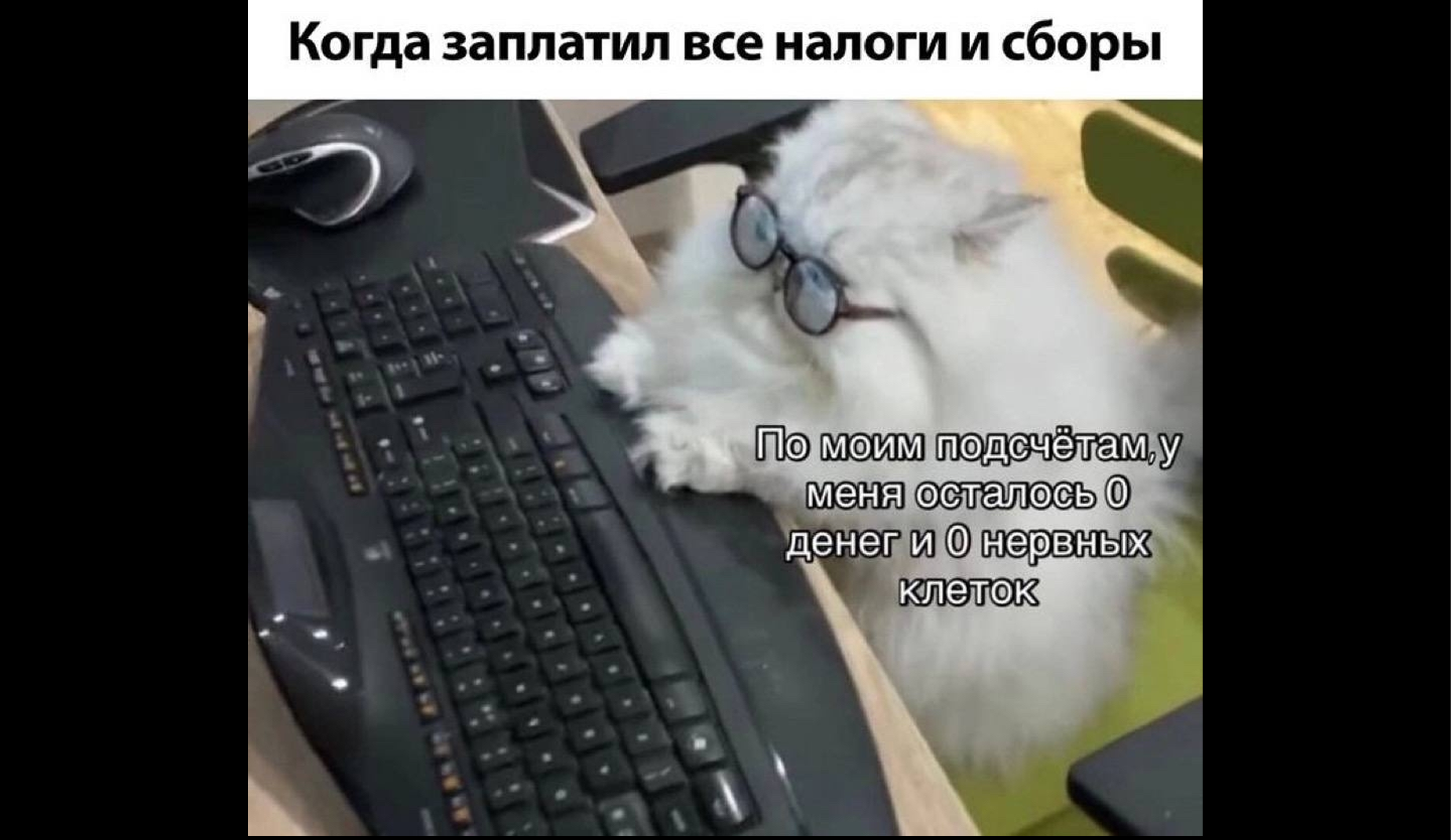 Как студенту оформить налоговый вычет за обучение онлайн