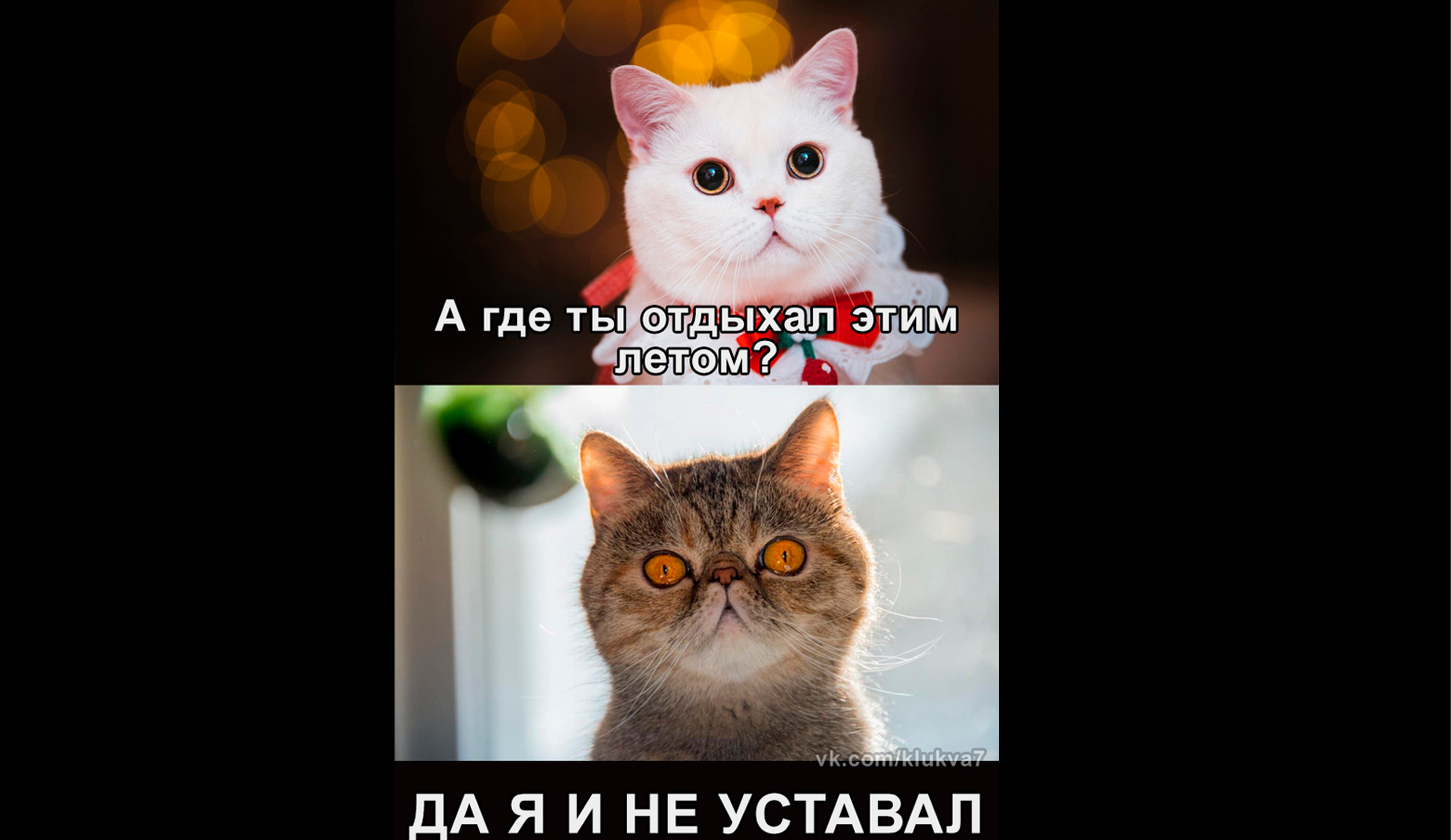Как организовать летний отдых студенту без лишних трат