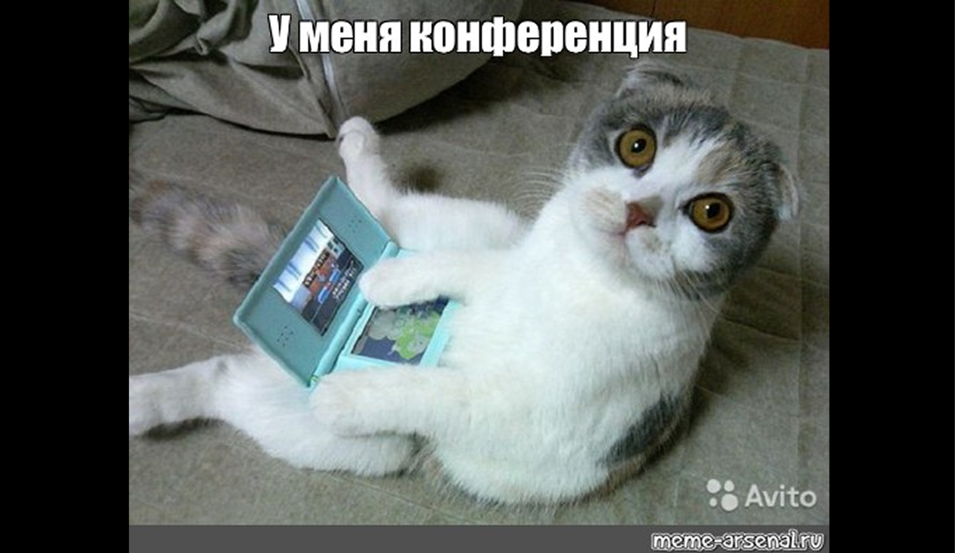 Студенческая научная конференция 2025: что это?