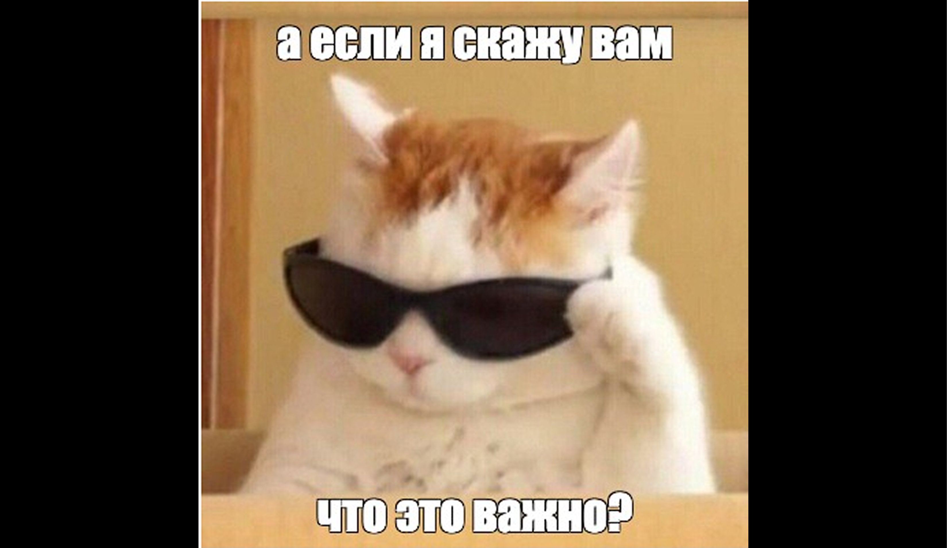 Какие софты должен знать каждый студент в 2025 году