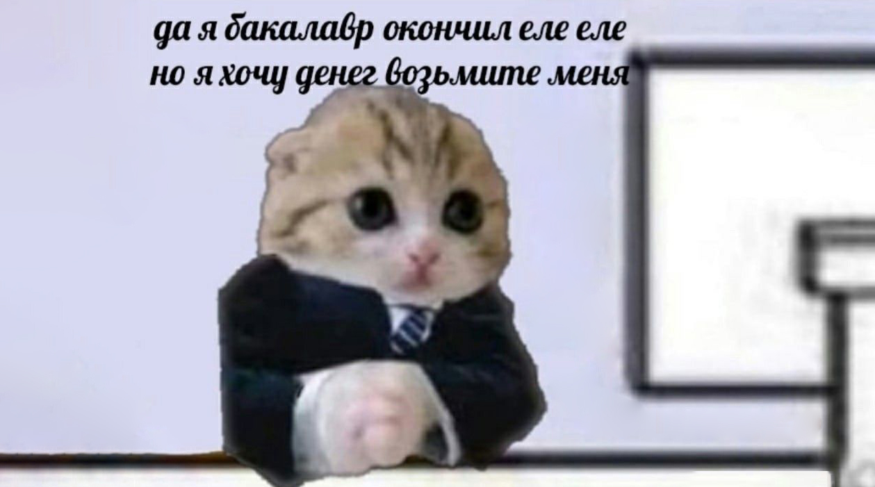 Диплом бакалавра и специалиста: в чем разница?