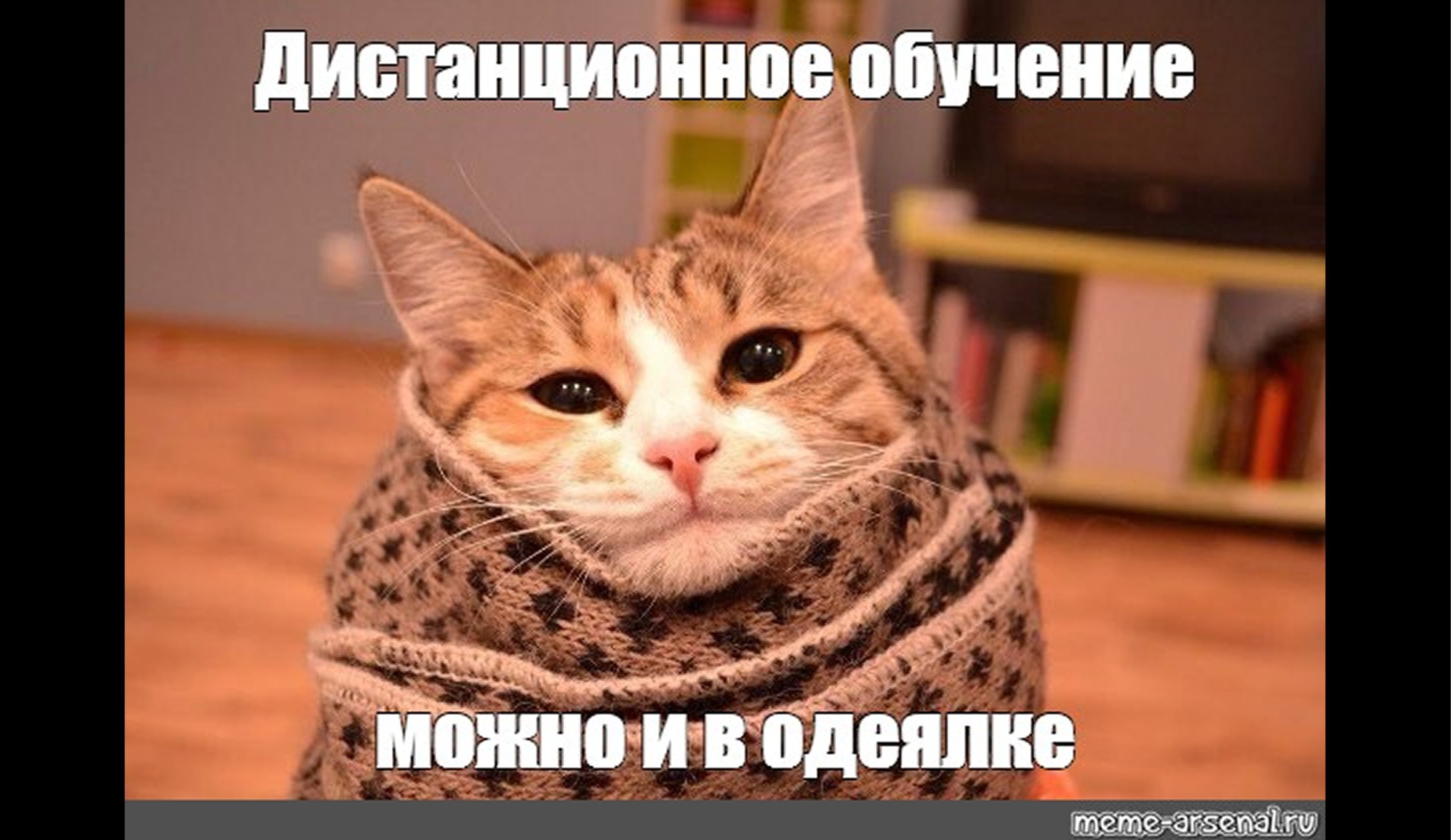Суть дистанционного обучение в ВУЗе: плюсы и минусы