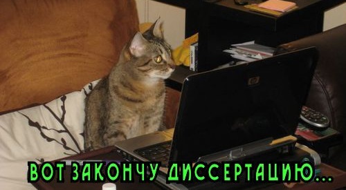Кто такой оппонент на защите диссертации и зачем он нужен?