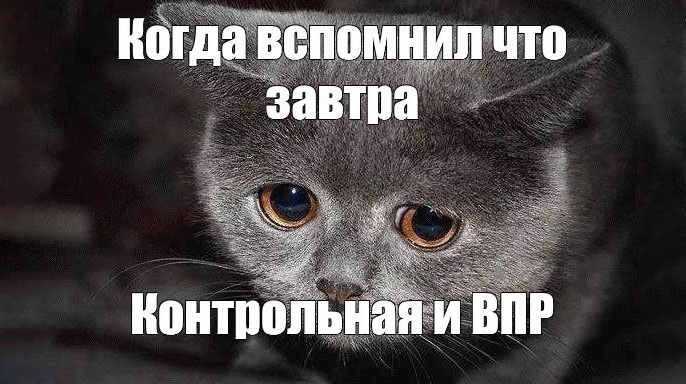 Какие существуют виды контрольных работ?