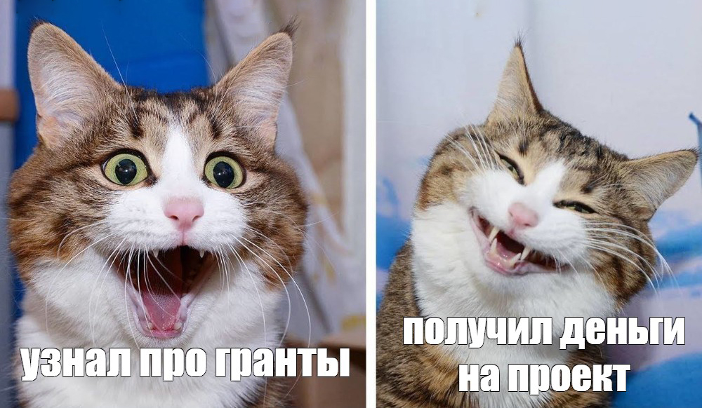 Как получить грант на обучение: инструкция