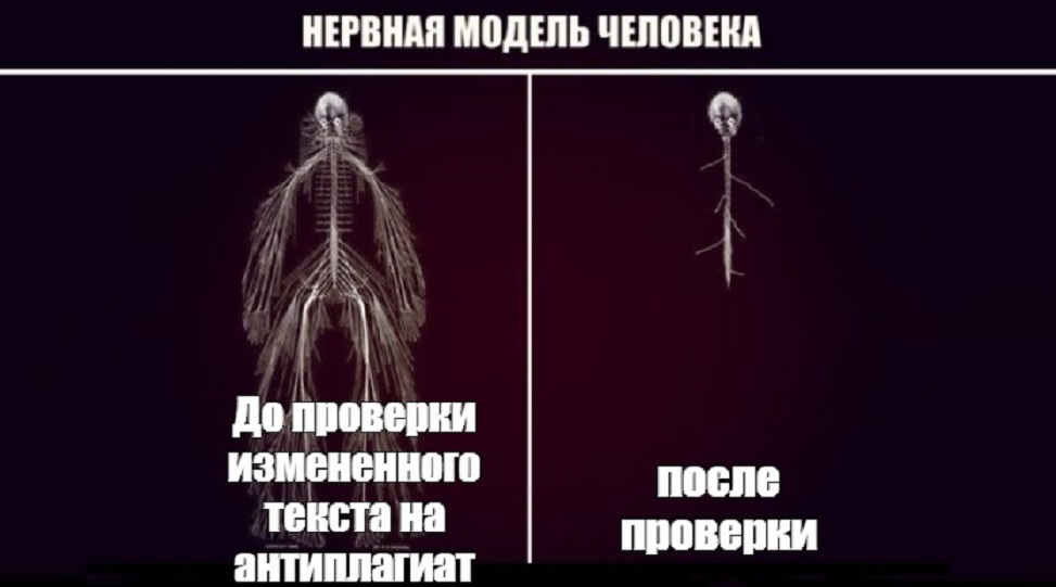 Как обойти антиплагиат и стоит ли это делать?