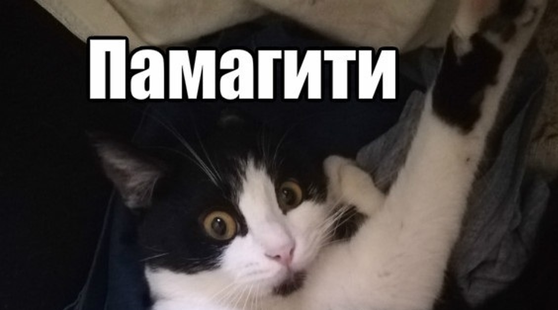 Где и как получить помощь с рефератом?