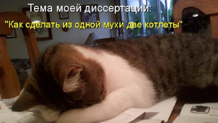 Что такое магистерская диссертация, кто ее пишет и когда