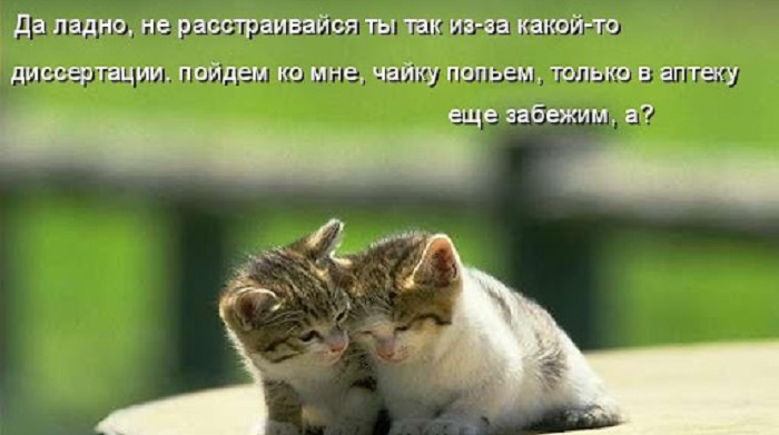 Как правильно оформить план диссертации?