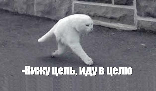 Что такое цель курсовой работы и как ее написать?