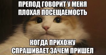 Как перевестись с одного факультета на другой: какие нужны документы, и нужно ли сдавать экзамены?