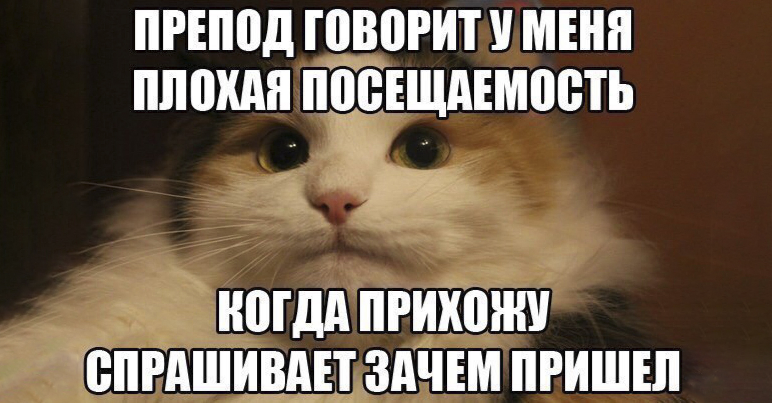 Как перевестись с одного факультета на другой: какие нужны документы, и нужно ли сдавать экзамены?