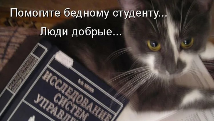 Как студенту экономить деньги: полезные советы финансовой грамотности учащихся