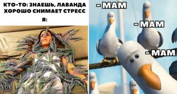 Учеба и материнство: как их совмещать и какие пособия положены для мам-студенток?