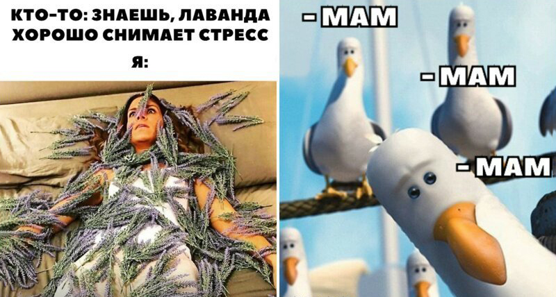 Учеба и материнство: как их совмещать и какие пособия положены для мам-студенток?