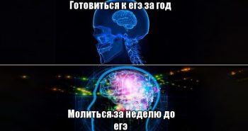 Можно ли поступить без ЕГЭ в ВУЗ: какие есть лайфхаки?