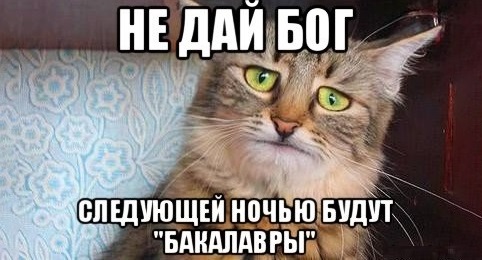 Правда ли что бакалавриат отменяют в России? Чего ожидать студентам, которые уже учатся на бакалавриате?