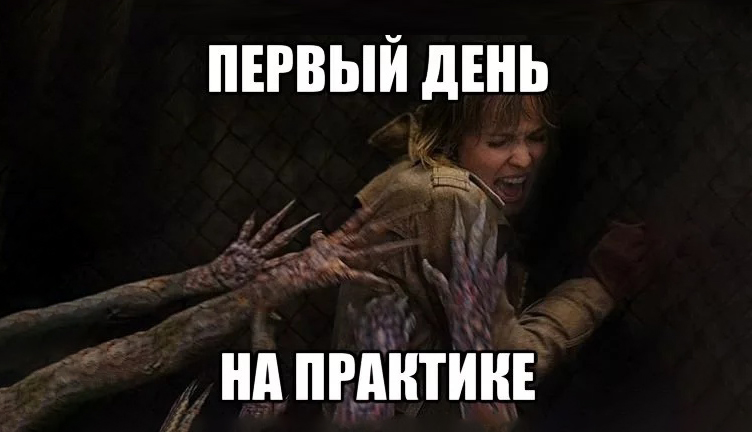 Что такое дистанционная практика, и как ее пройти?