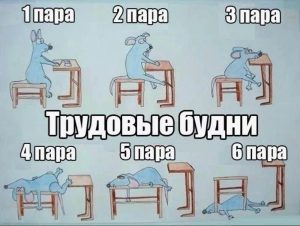 День самостоятельной работы в ВУЗе: что это такое и для чего он нужен в расписании?