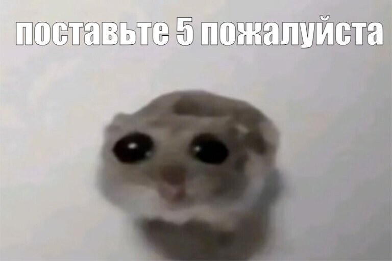 свободное посещение 2