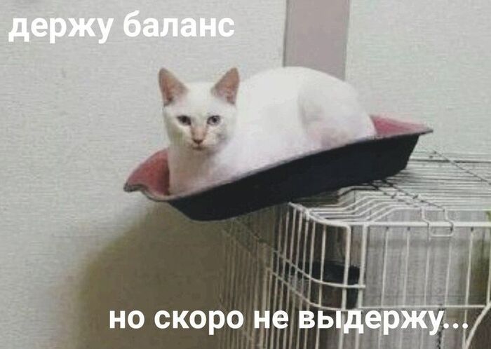 Как найти баланс между