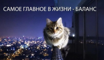 Как найти баланс между