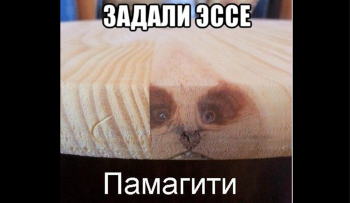правильно оформить эссе