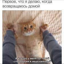 как сделать привычки