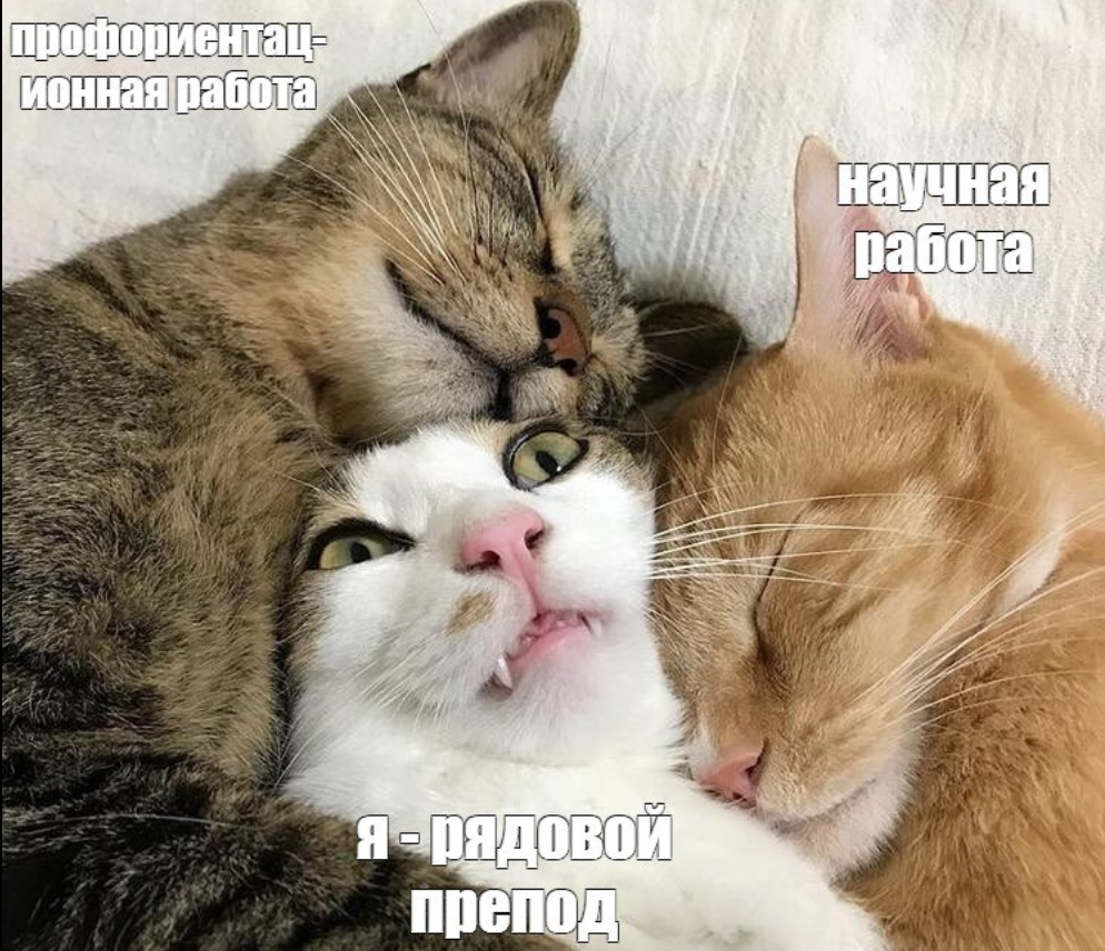  что такое репозиторий