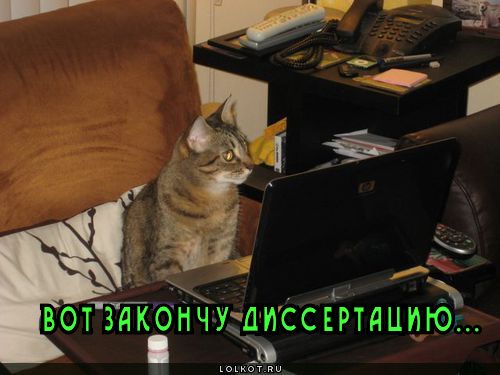 диссертации в вузе