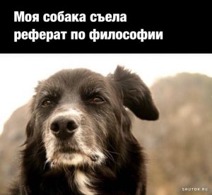 выводы в реферате