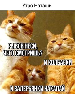 как вернуться в режим