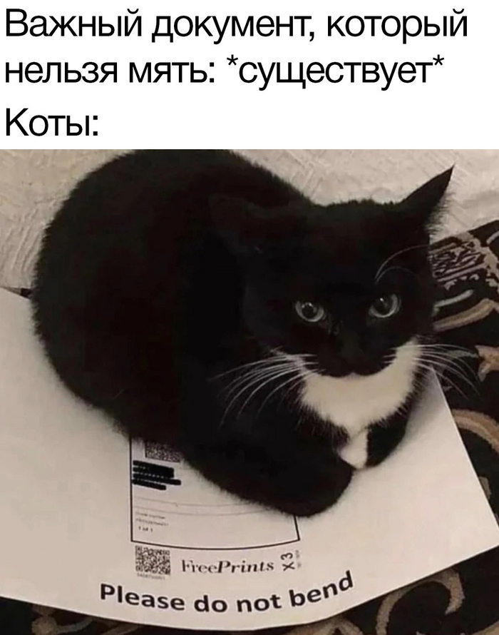  документы для поступления в колледж