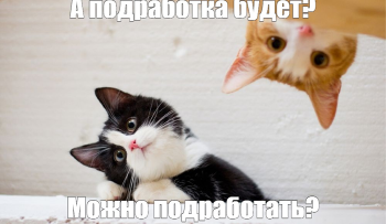 подработка на лето студенту