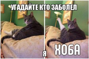 как написать справку по болезни