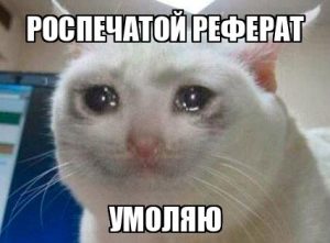 как оформить приложение к реферату