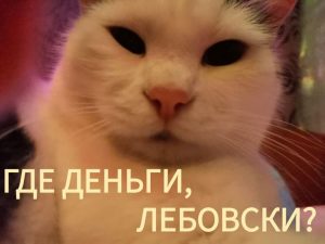  как получить соц выплату