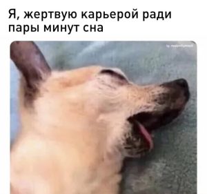 как улучшить качество сна и высыпаться