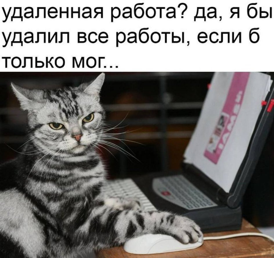 справки для работы по