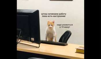 справки для работы по