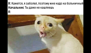 как написать справку по болезни